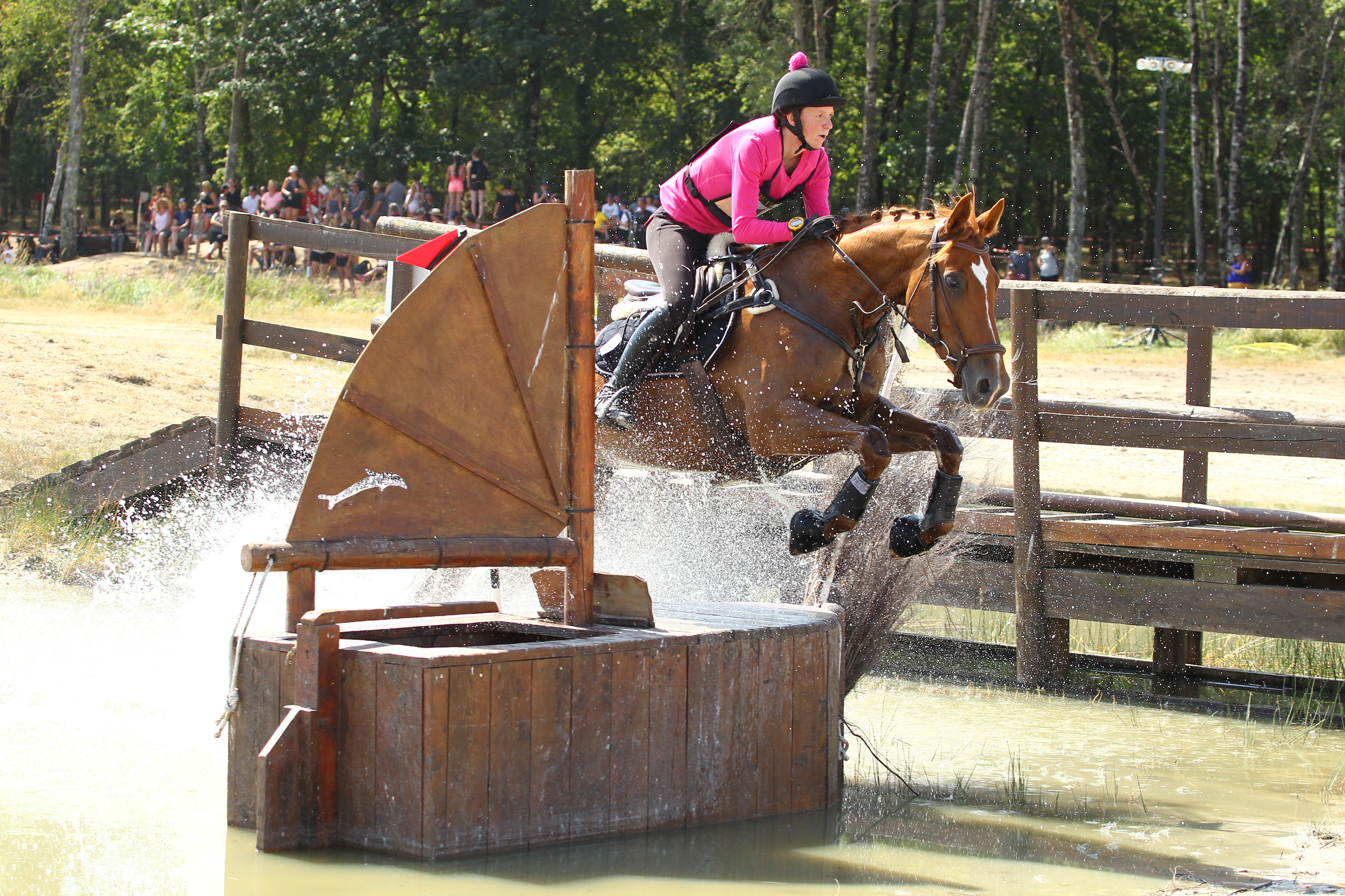 Equitation cross-country : les équipements à prévoir pour protéger le  cavalier et son cheval