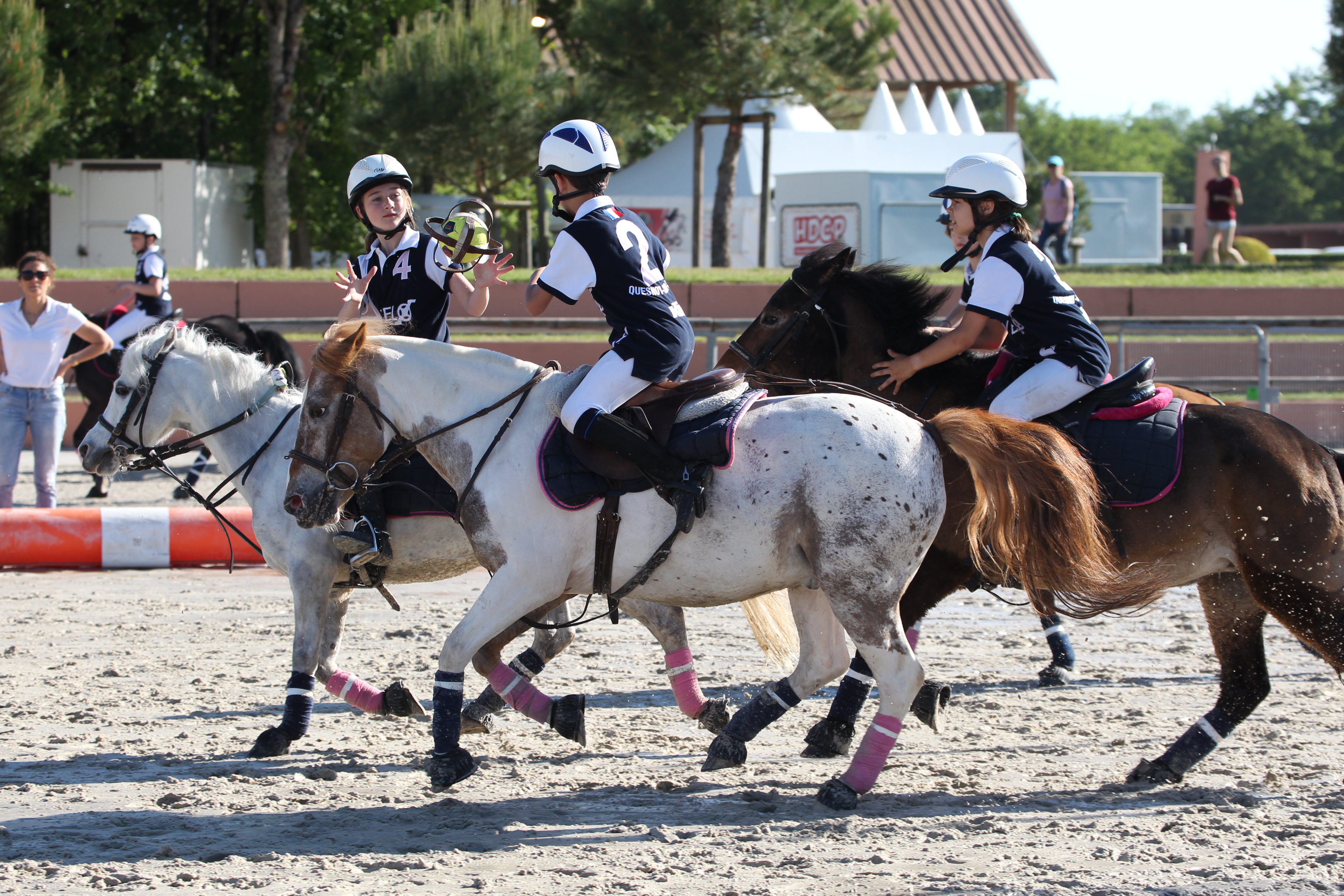 Équipement d'équitation images libres de droit, photos de Équipement d' équitation