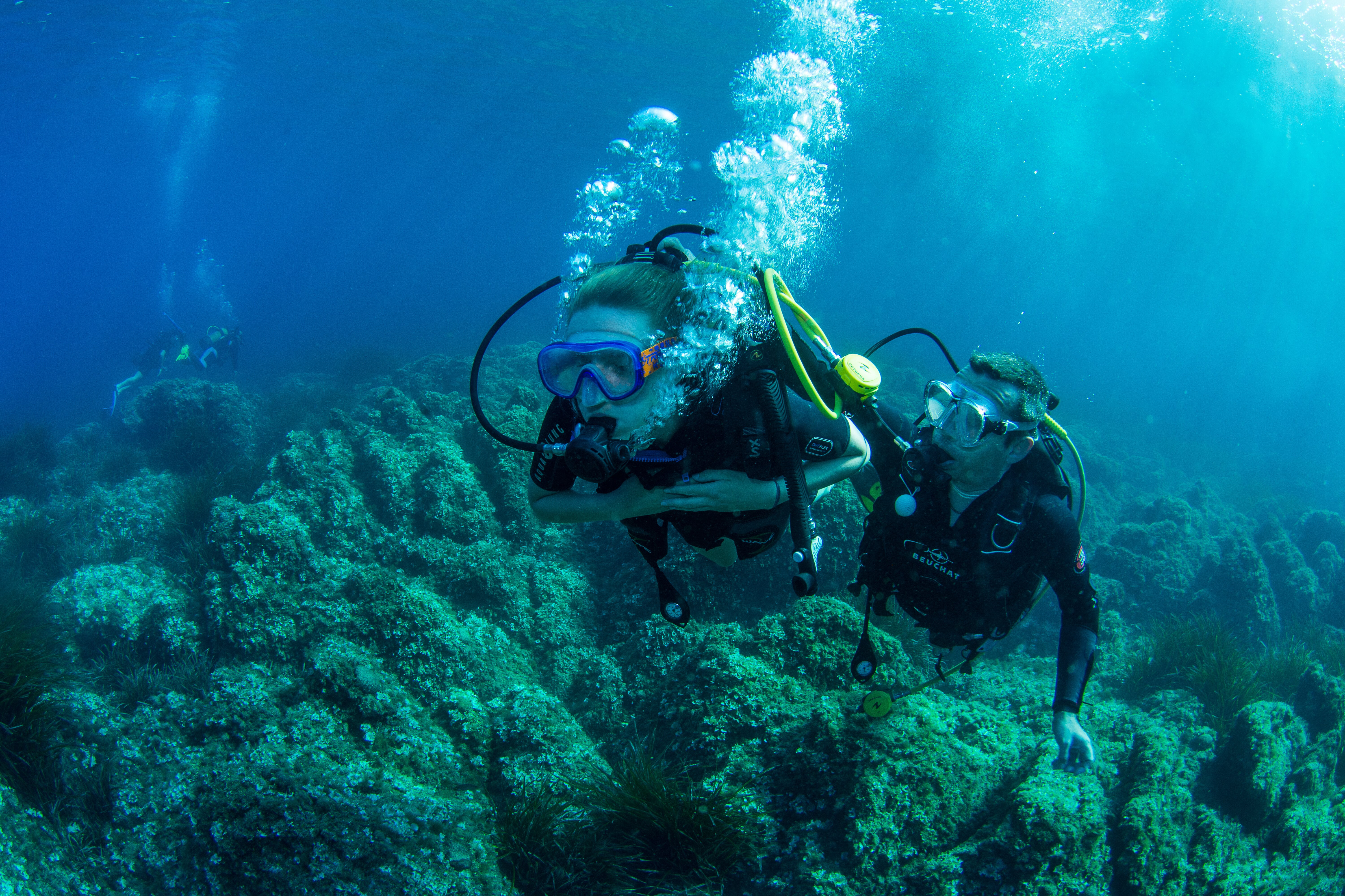 Bediffer Sac de Poids de Plongée, Sangle de Poids de Plongée en Apnée,  Joint, Drain Inférieur pour Les Sports sous-Marins (#1) : : Sports  et Loisirs