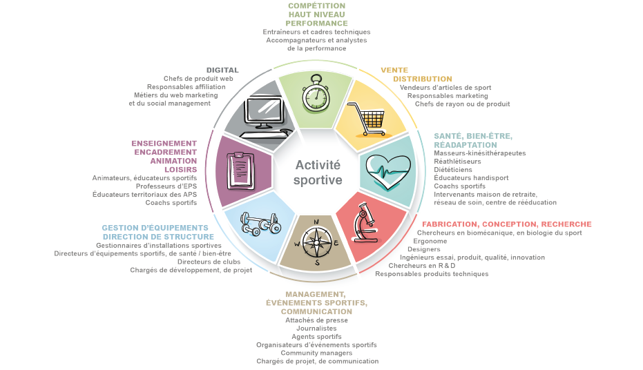 Rosace des métiers du sport