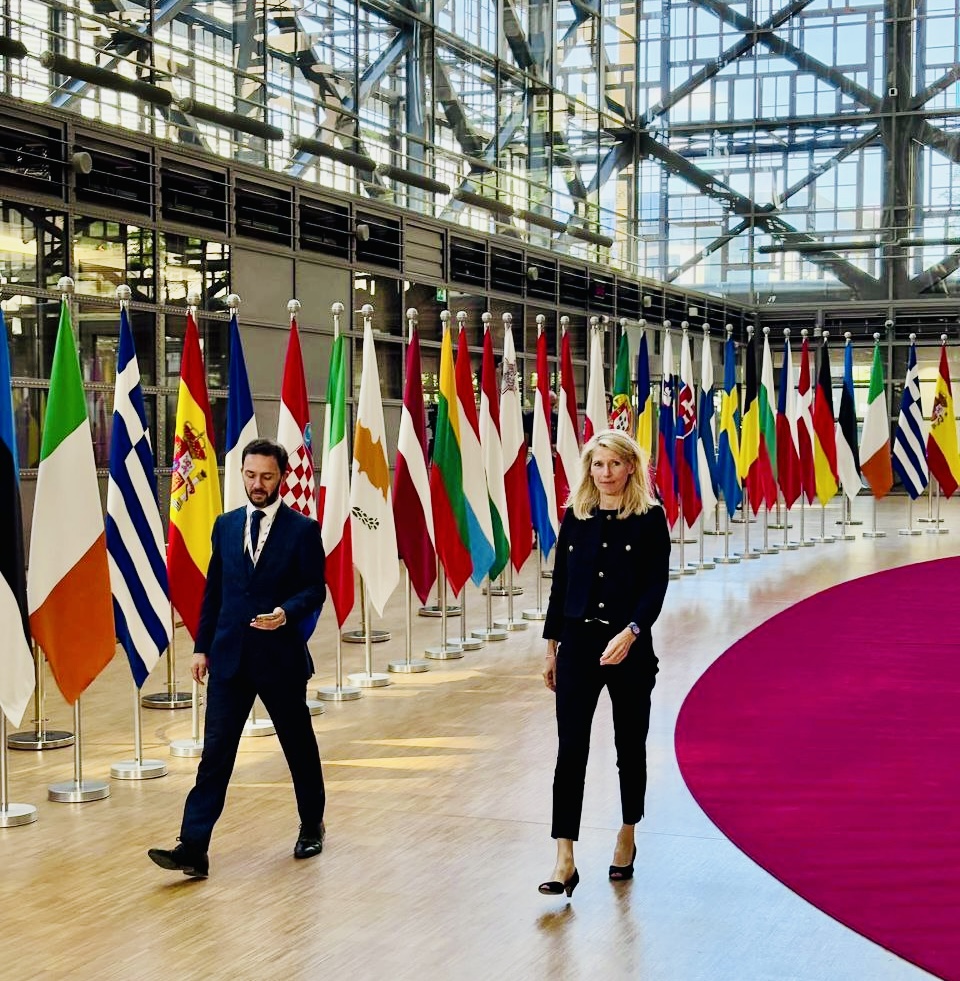 Photo de Marie Marsacq au conseil européen à Bruxelles avec des drapeaux