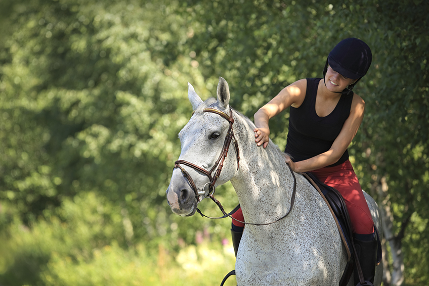 Photo d'une cavalière sur un cheval blanc en pleine promenade dans la nature