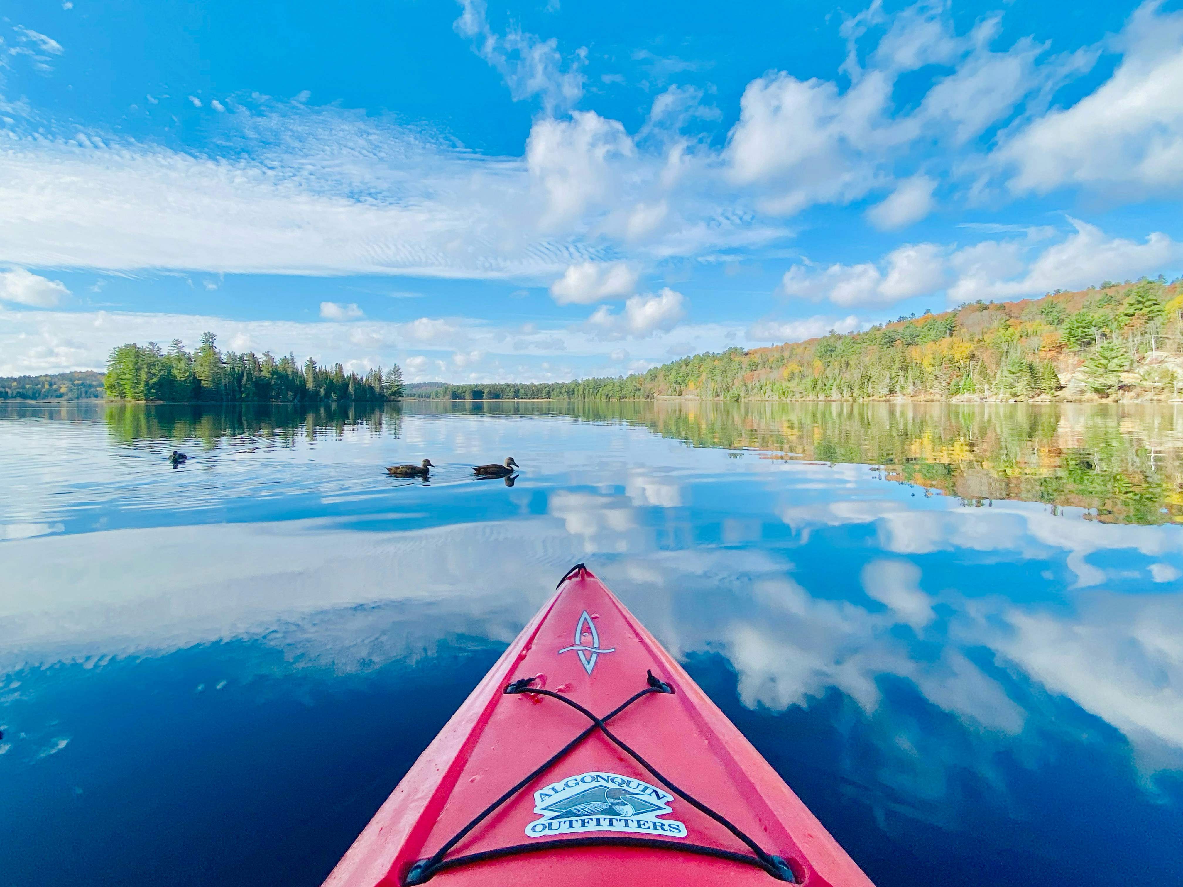 Photo d'un canoë sur un étang reflétant le bleu du ciel et les nuages
