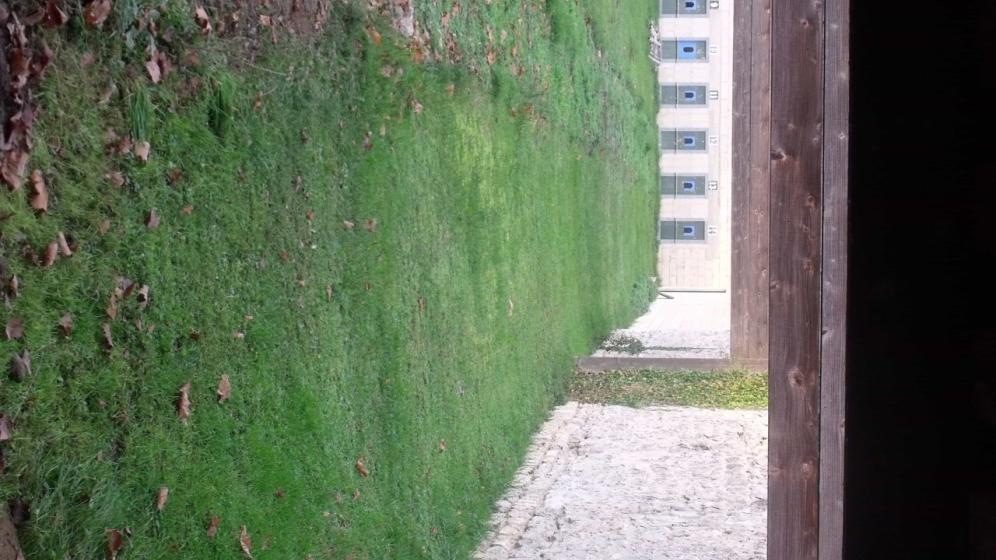 DSCF2980