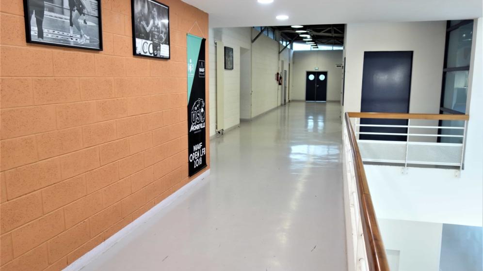 Halle-2