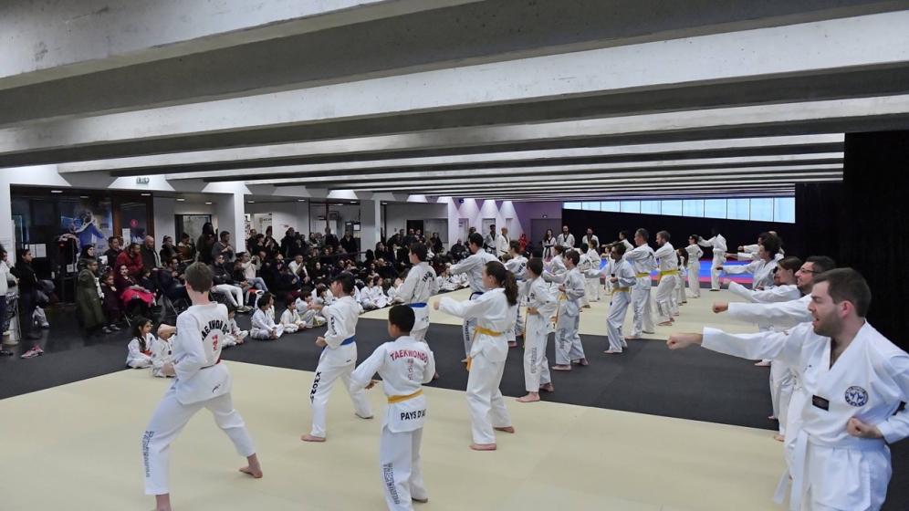 surface-taekwondo
