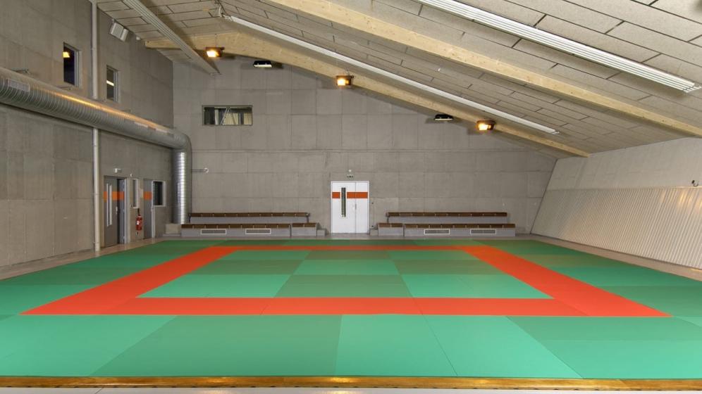 DOJO-M-Dasseux_Petit-dojo