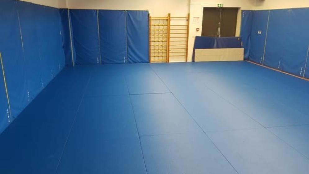 EMS-Vue-salle-tapis