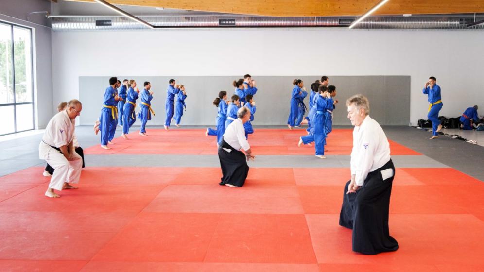 030_bellegrave_aikido