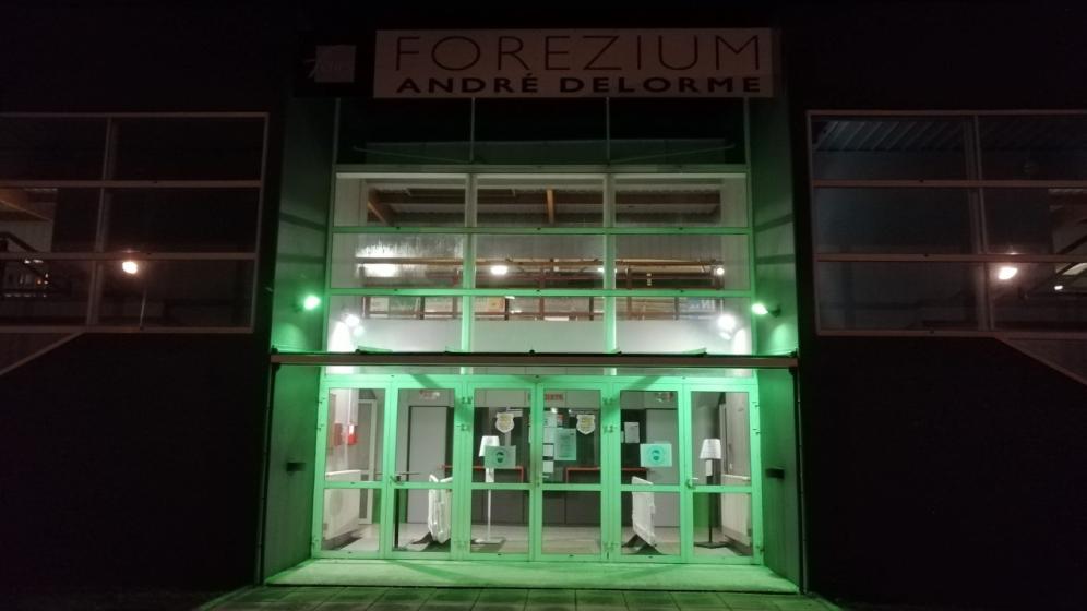 5.Entree-salle-du-forezium-A.-Delorme