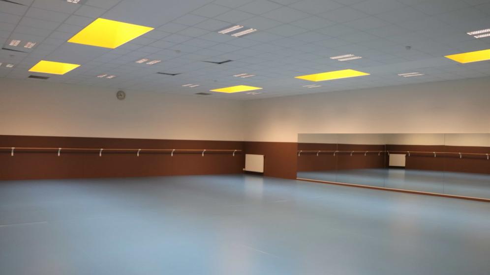 7_JEAN-GAILLARDON-_-SALLE-RECUPERATION