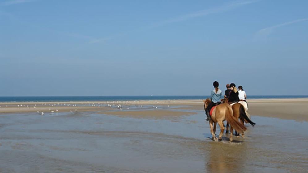 balade-plage-1