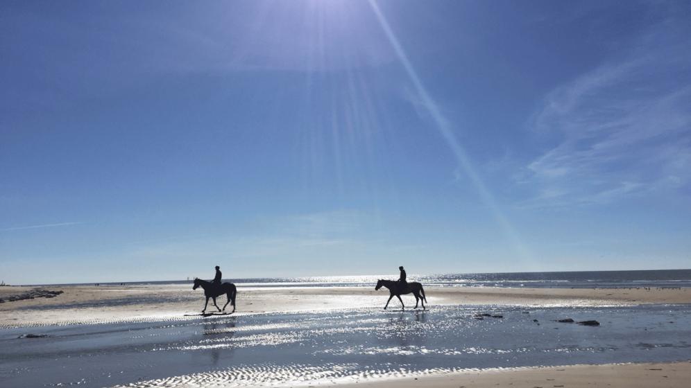 cheval-hardelot