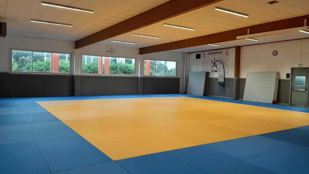 DOJO-3