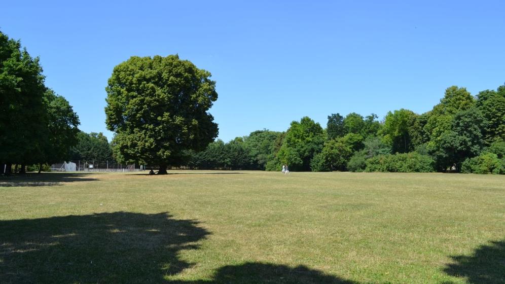 Le-Parc-dHanneucourt