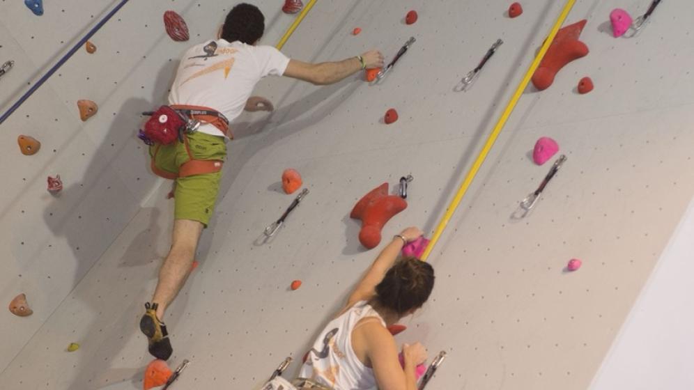 Mur_escalade_Vert-Bois2