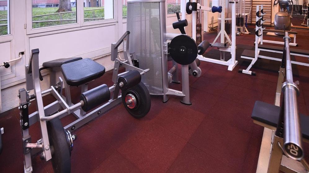 Muscul-Creps-Strbg-1