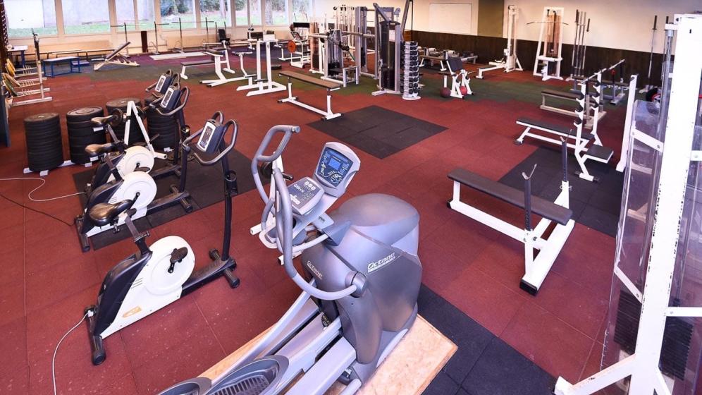 Muscul-Creps-Strbg-3
