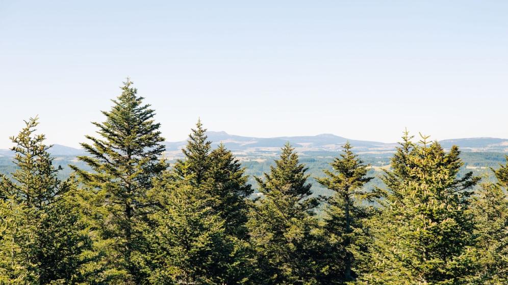 Panorama-Copyright-Naturofilm