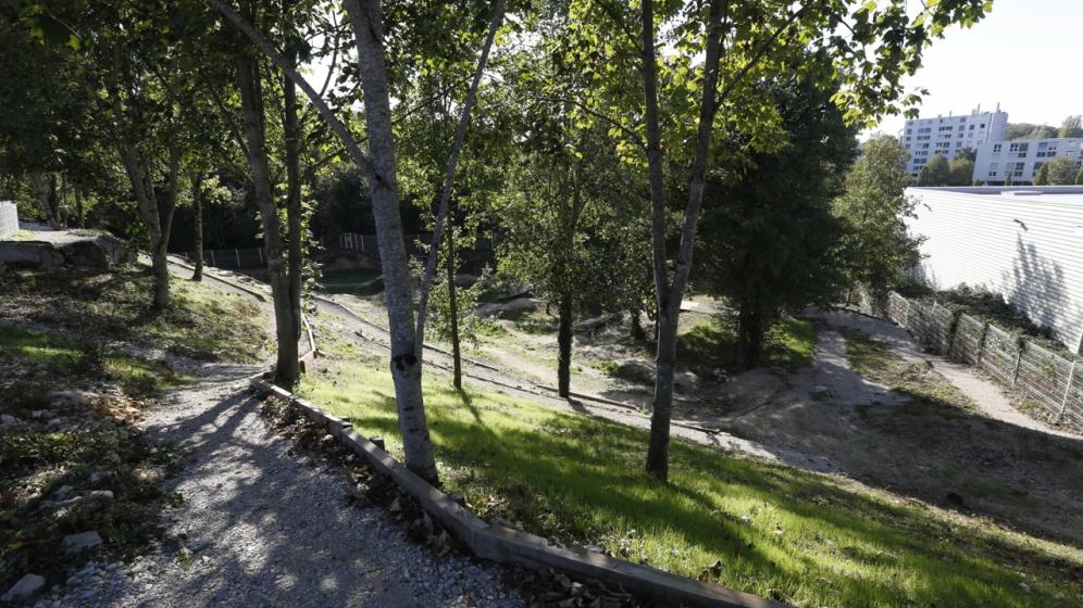 parcours_vtt-3