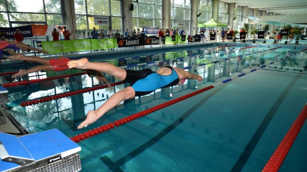 Piscine-PArvis-Bassin-interieur-3