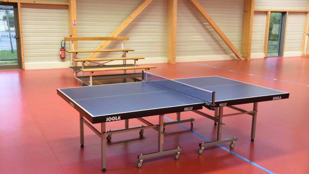 Table-de-tennis-de-table-avec-tribune
