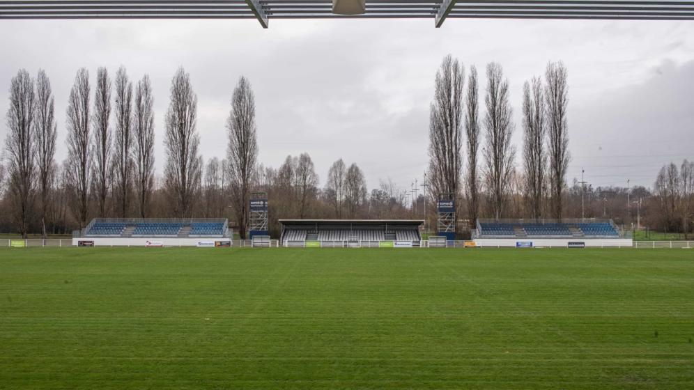 Terrain-de-rugby