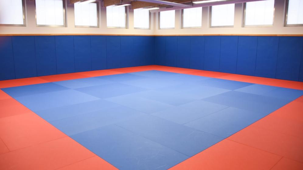 Vue-du-dojo