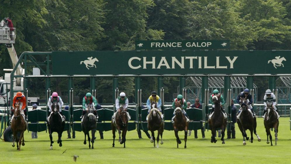 ©APRH-Boite-de-depart-hippodrome-min