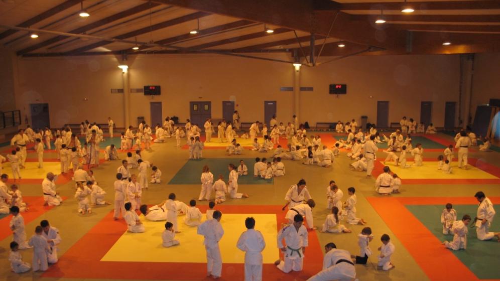 Dojo-Amilly-9