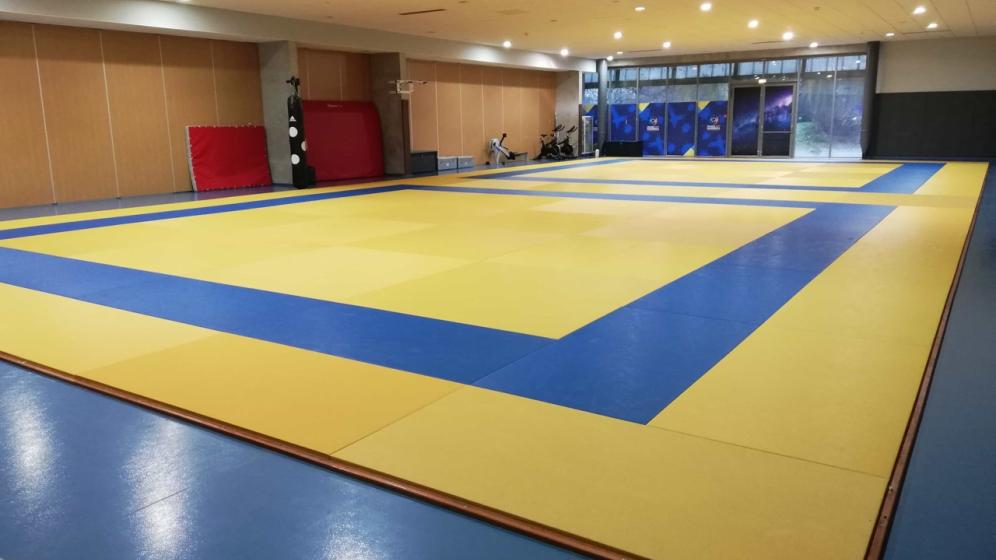 dojos-arenes-1