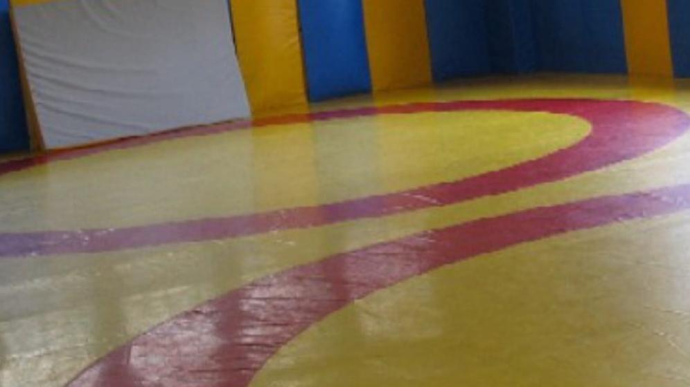 Salle-de-lutte-4