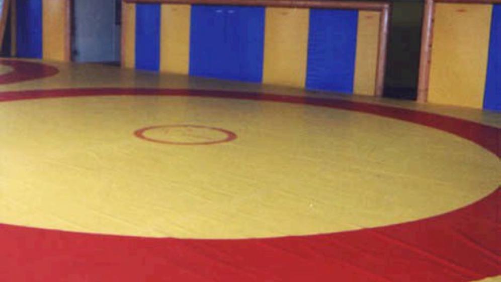 Salle-de-lutte-5