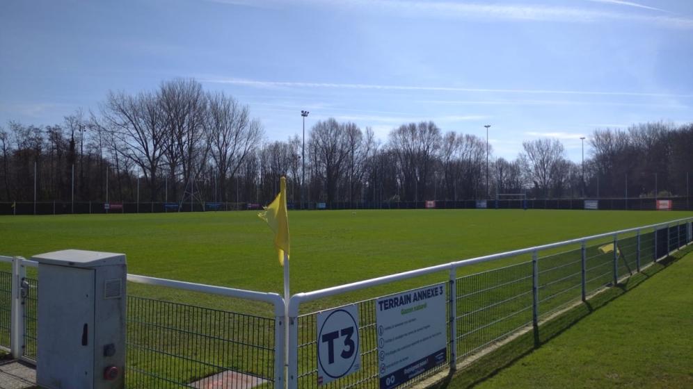 Stadium-Terrain-Annexe-3-Herbe