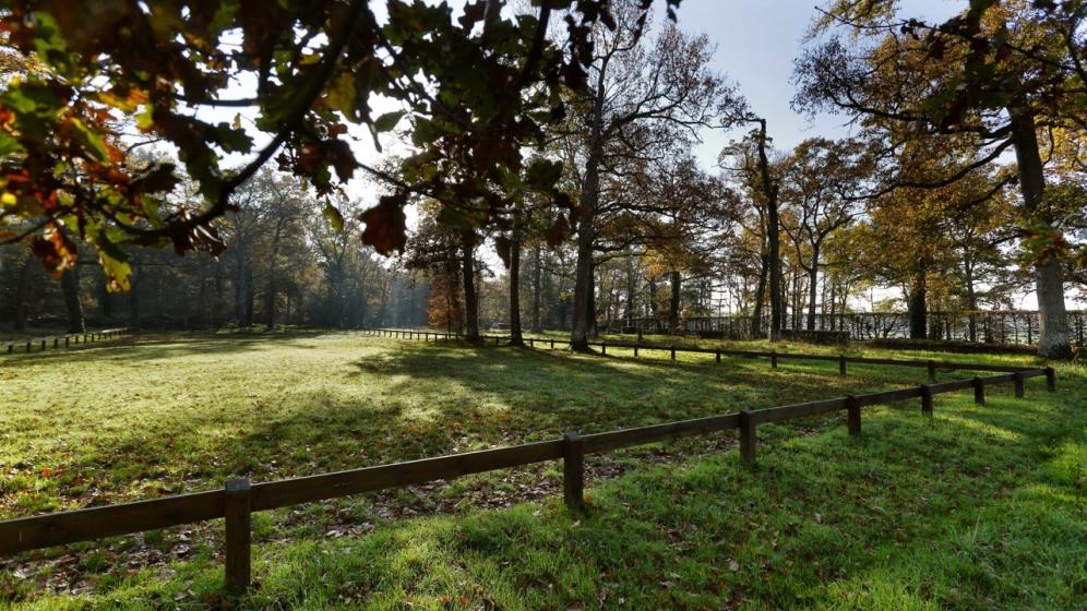 6-Carriere-Herbe-®BERTRANDBECHARD_10
