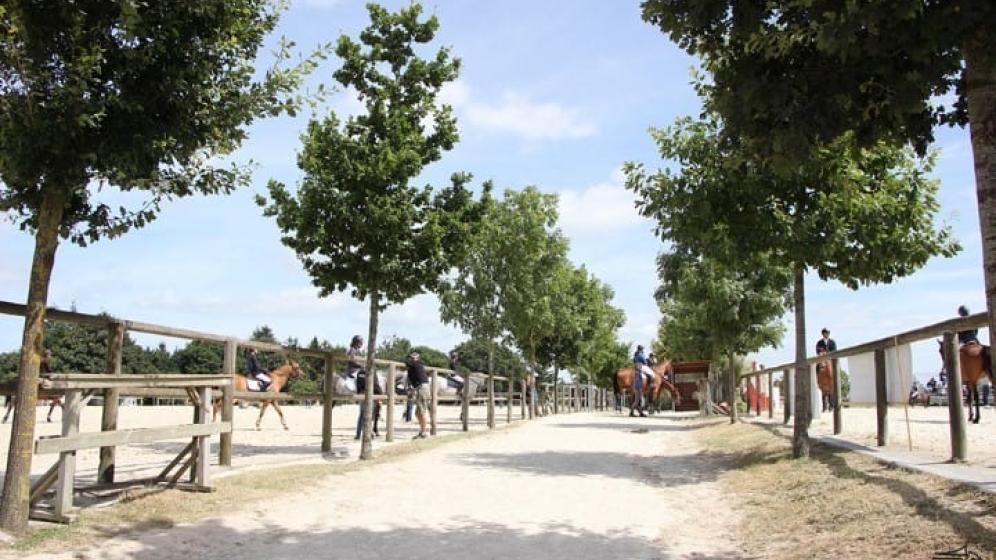 ALLEE-CAVALIERE-N.2014-Small
