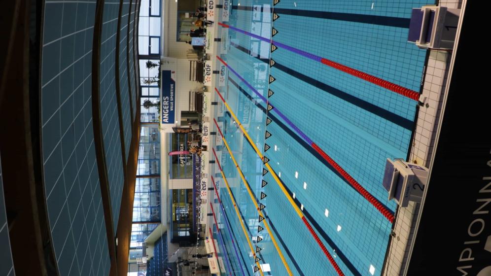 BASSIN-25M