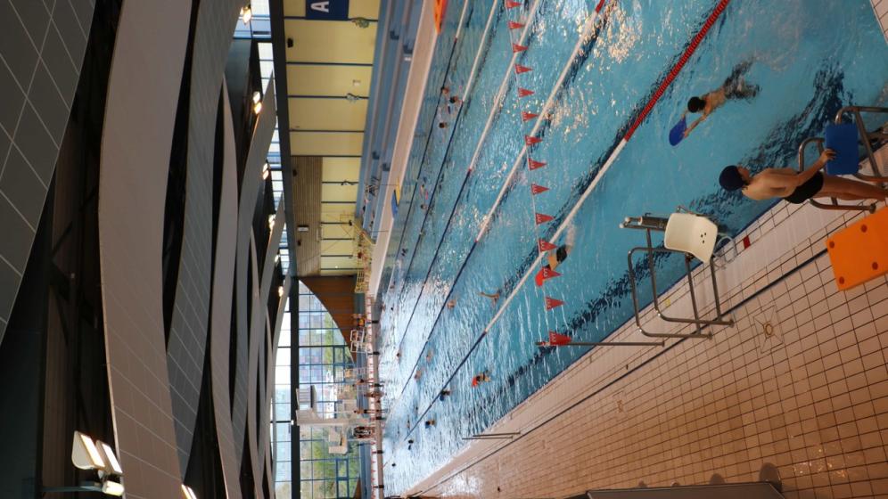 BASSIN-50M