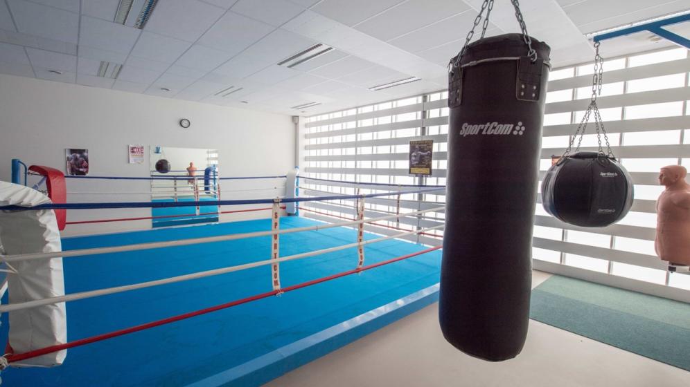 Cite-Boxe