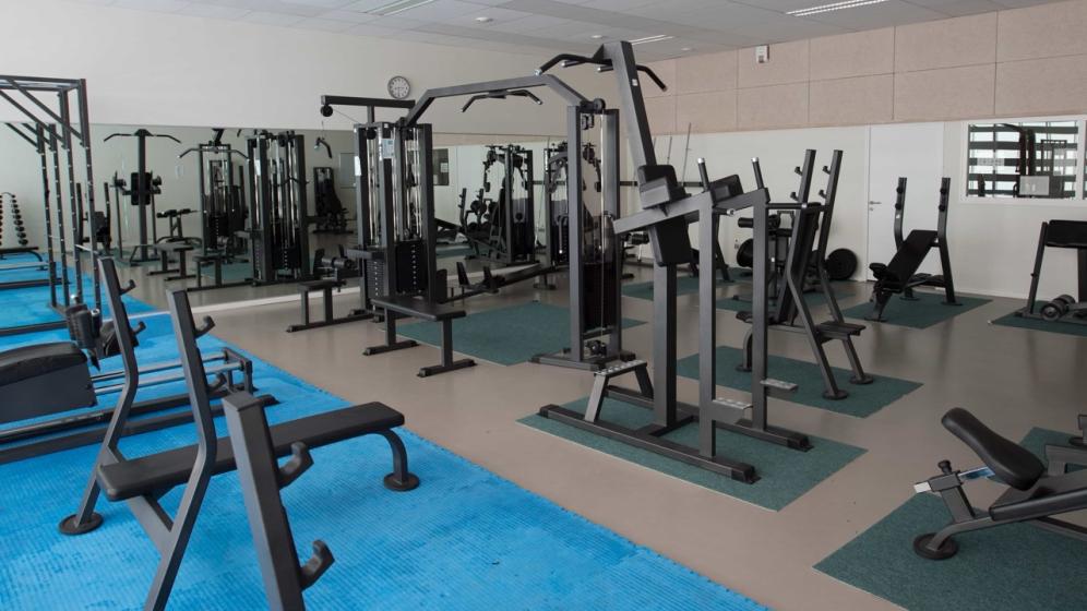 Cite-salle-de-musculation