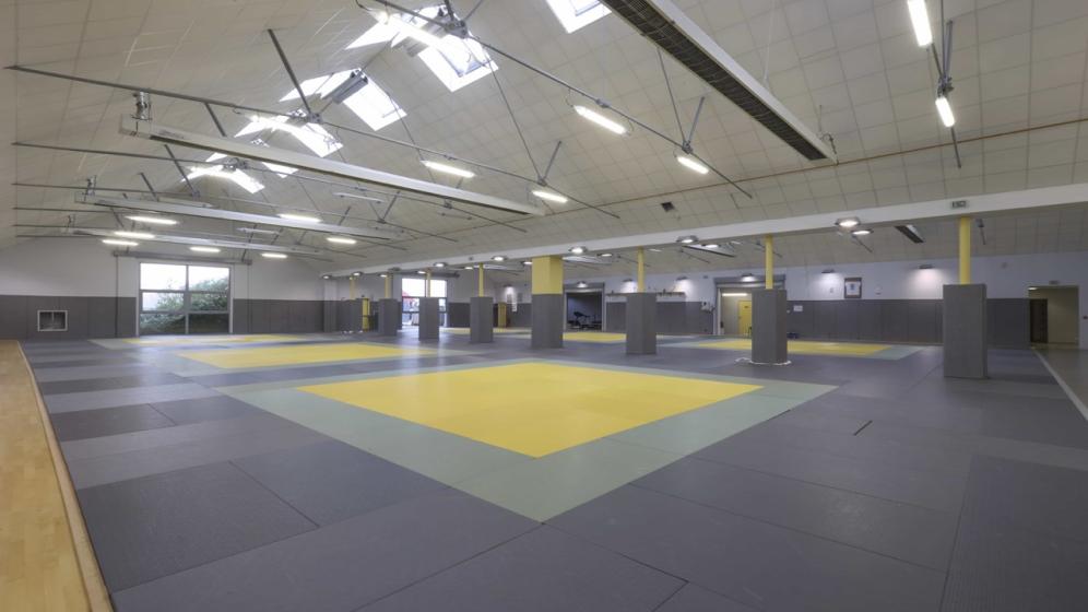 DOJO-4