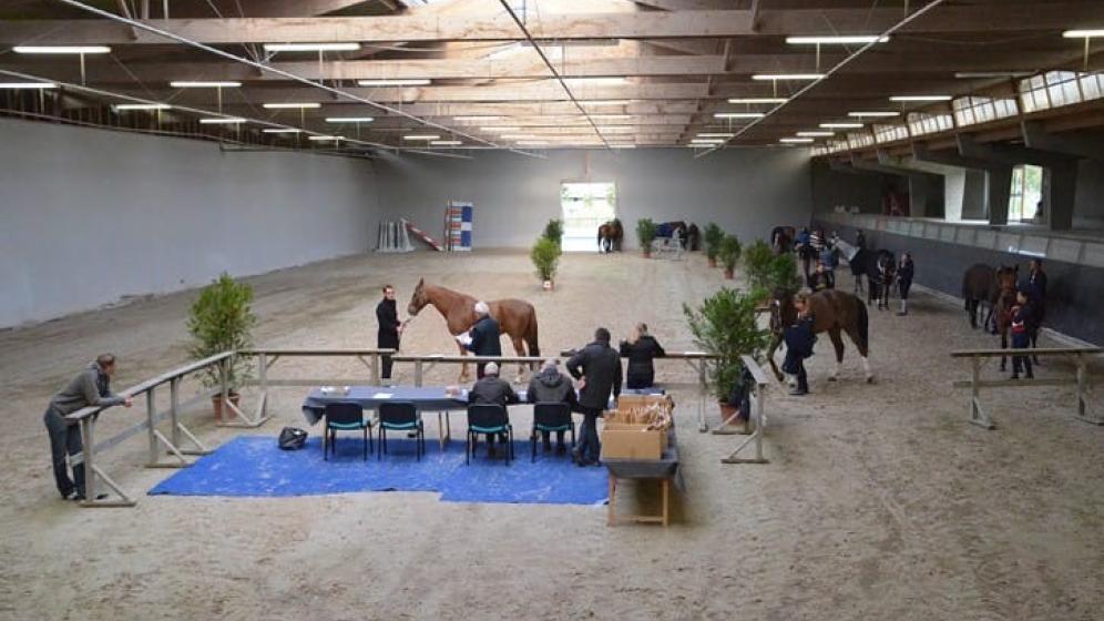 MANEGE-GOURMETTE-Small