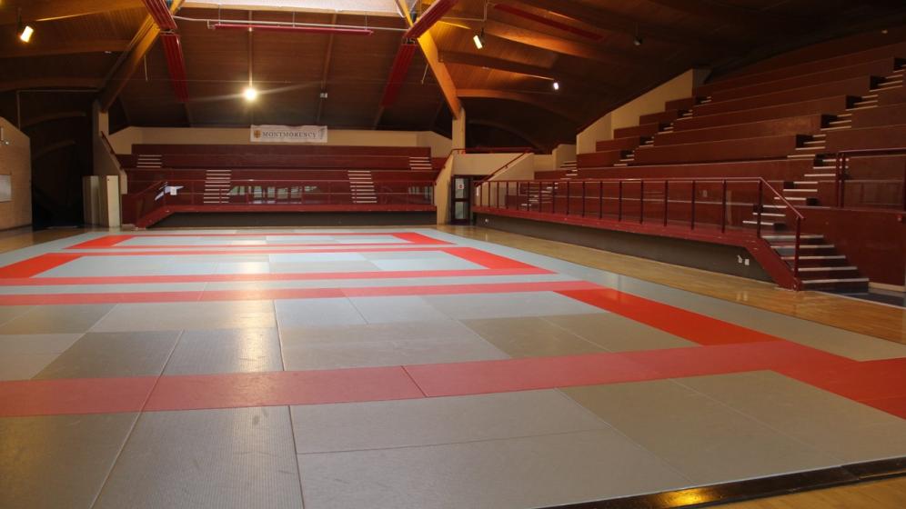 DOJO-INT-MCY