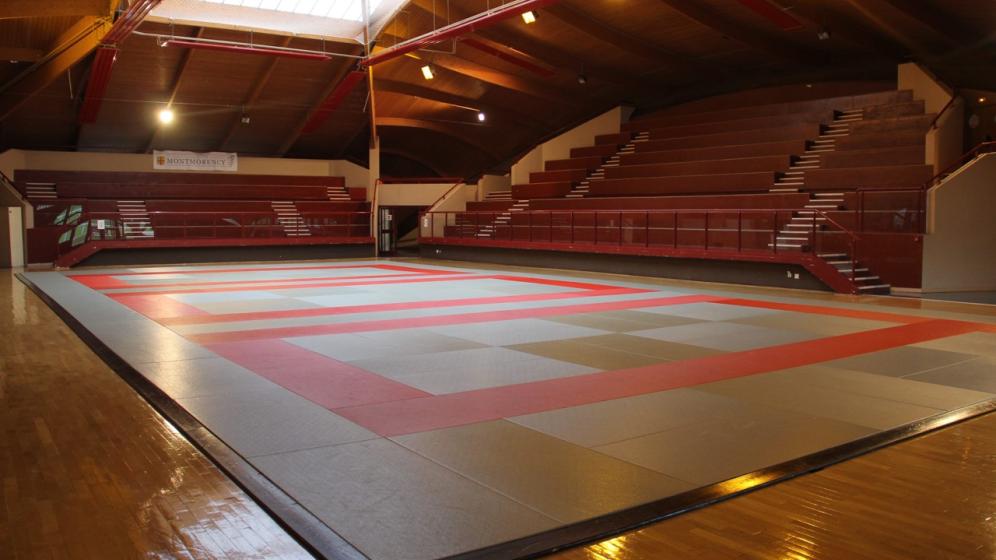 DOJO-MCY-2