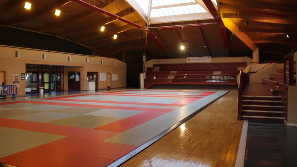 DOJO-MCY-4