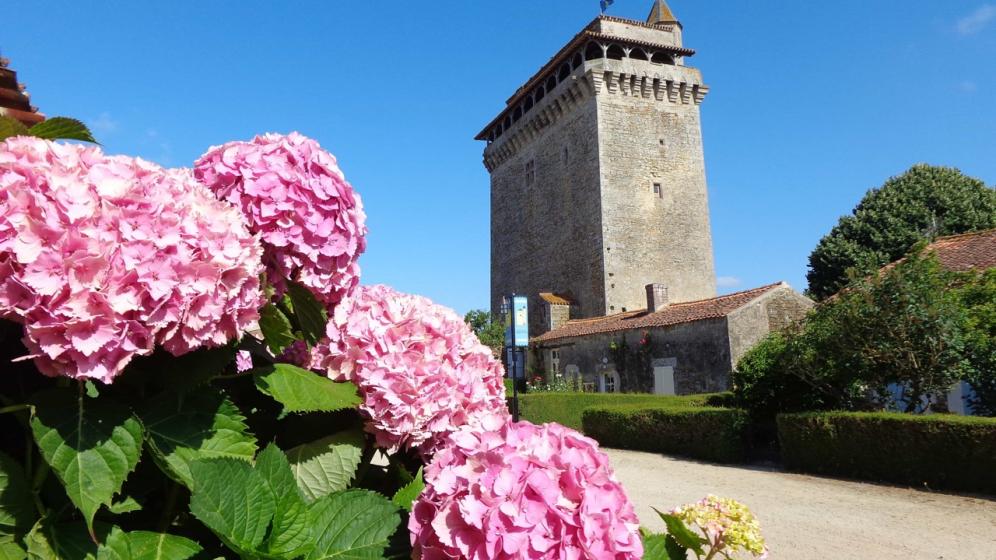 Donjon-3-©Commune-de-Bazoges-en-Pareds
