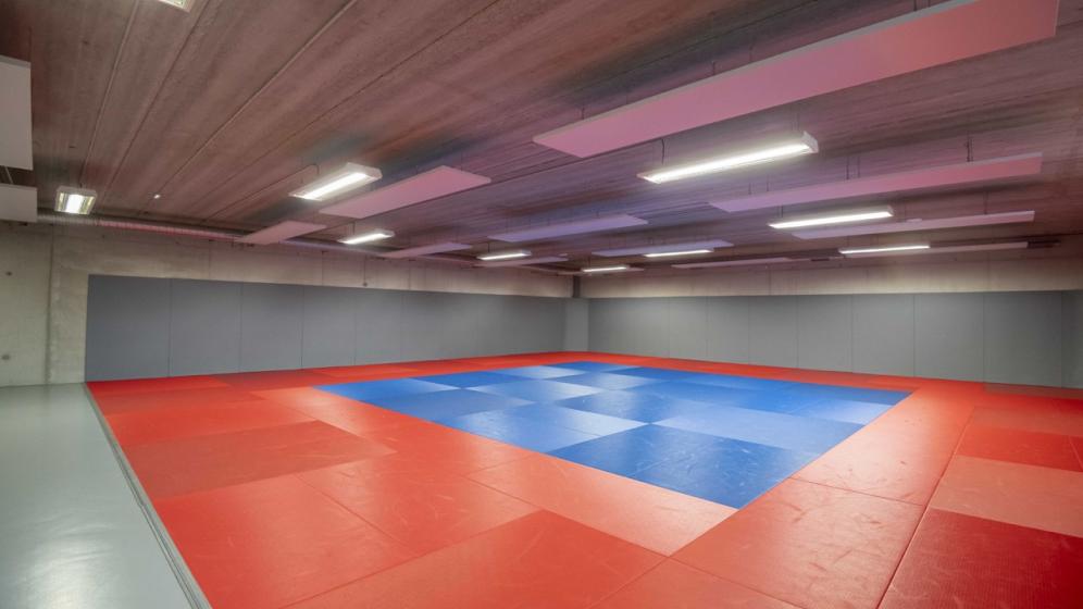 Gymnase-H-Normand-Dojo11