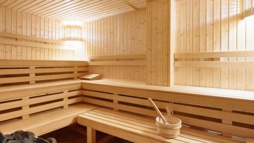 INGREO-sauna