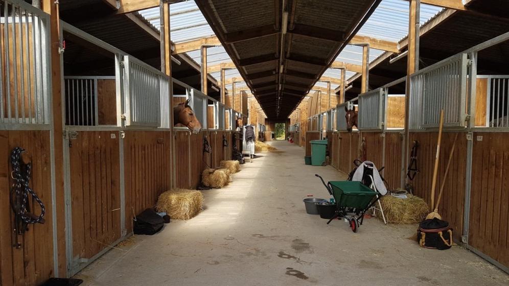 Pole_equestre_Barns