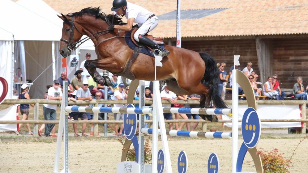 Pole_equestre_Vendeen_jumping_des_Sables